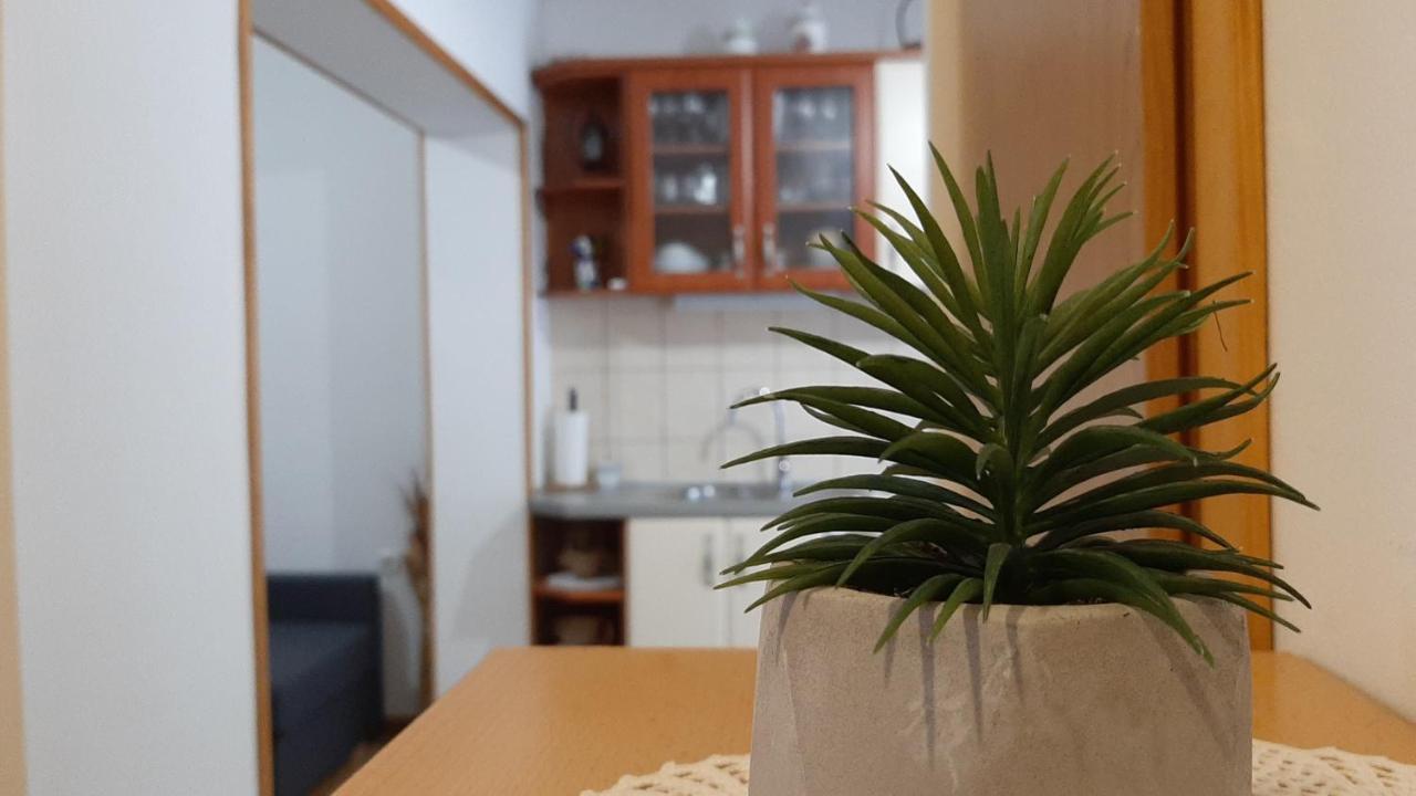 Apartman Pio 塞尼 外观 照片
