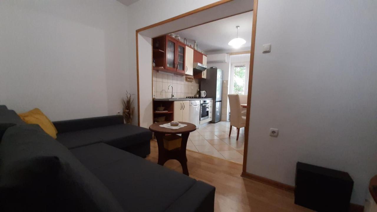 Apartman Pio 塞尼 外观 照片